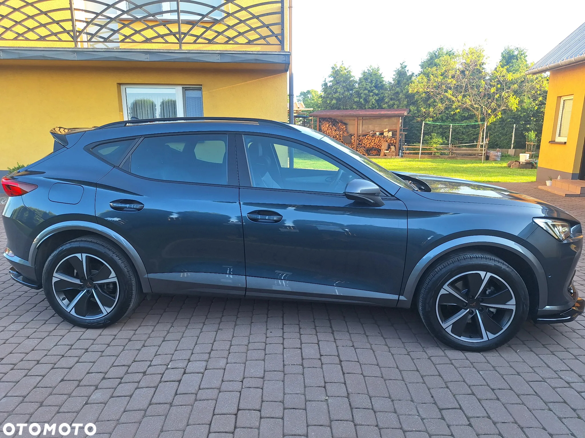 Cupra Formentor 2.0 TSI 4Drive DSG - 4