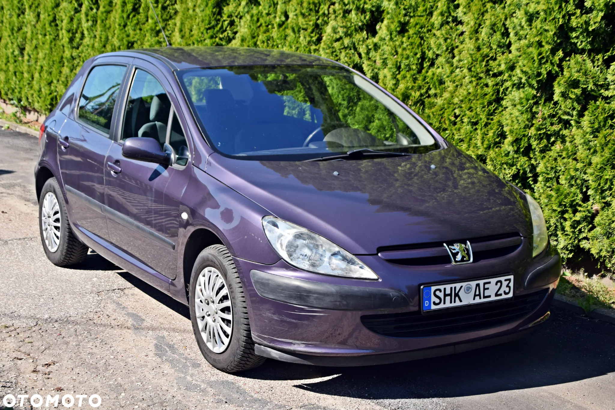 Peugeot 307 1.6 - 7