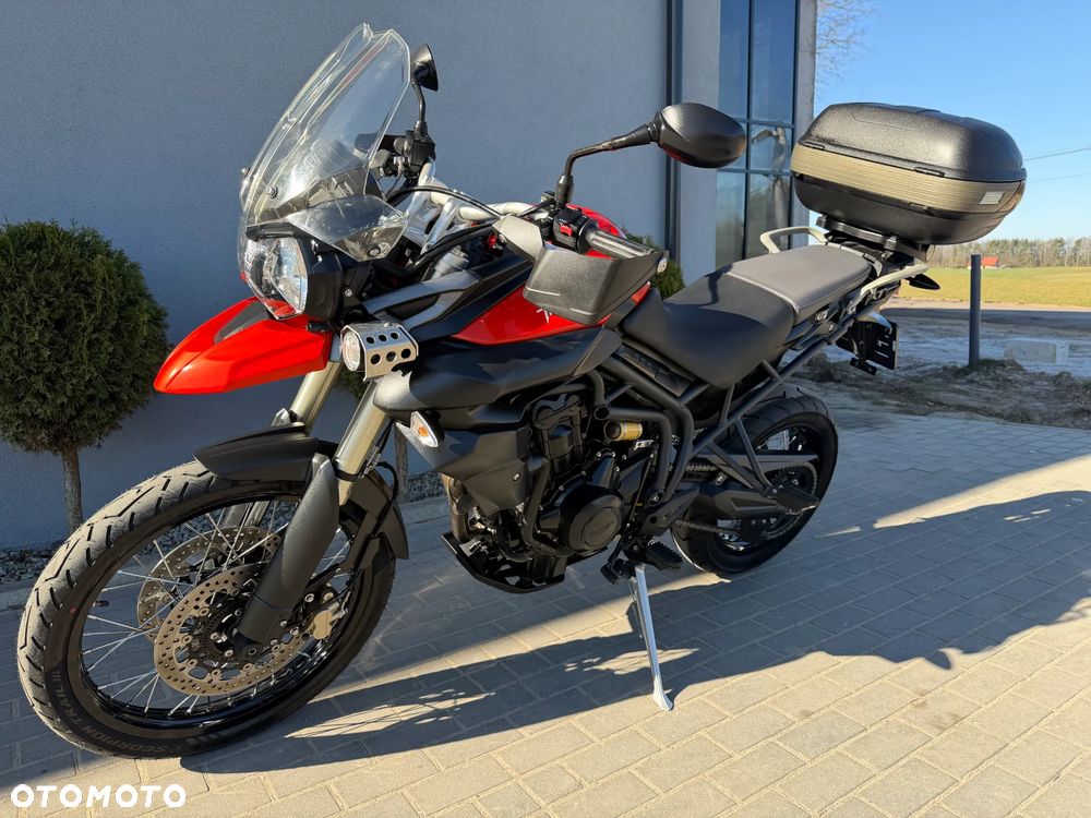 Triumph Tiger - 6