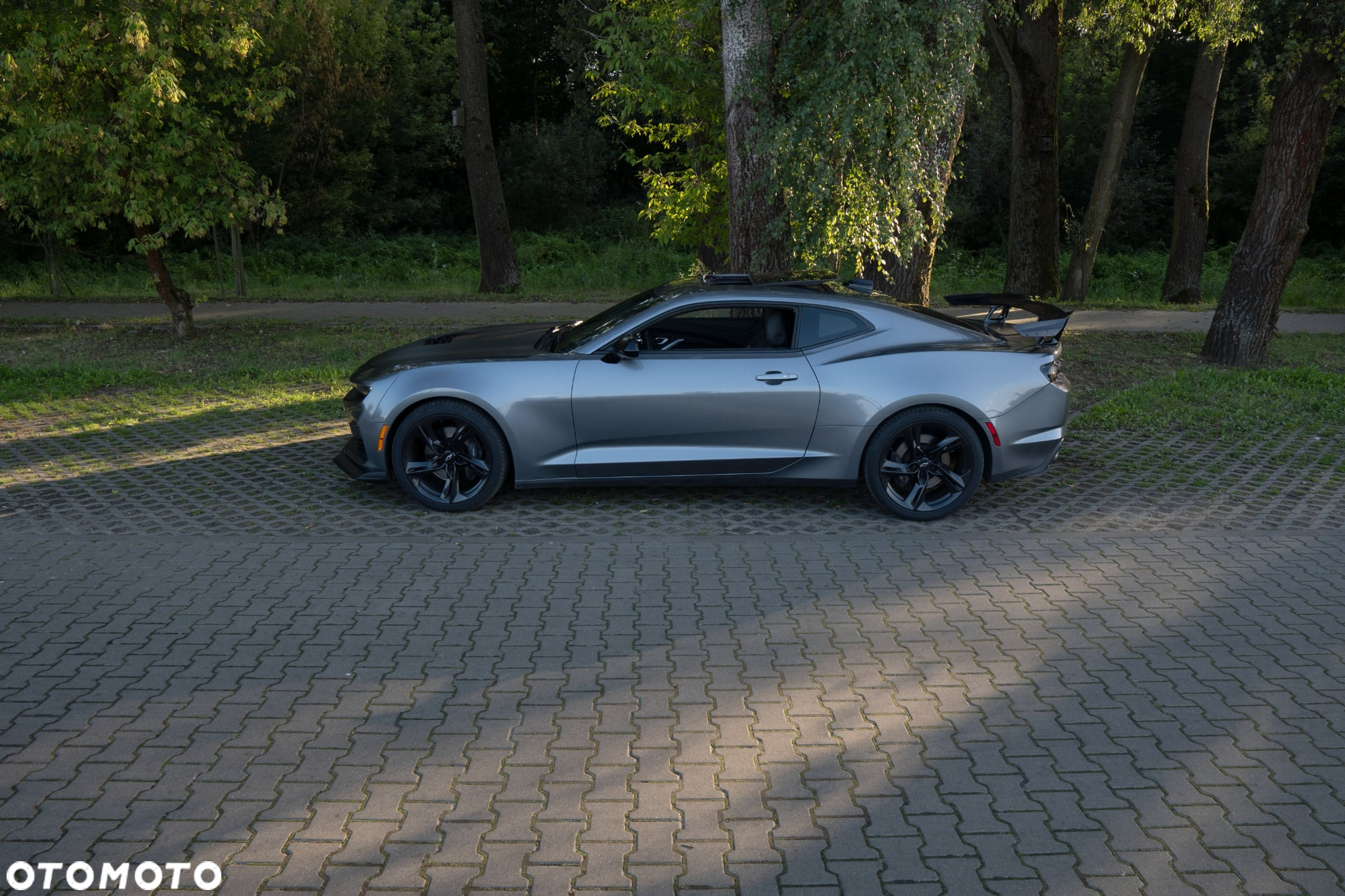 Chevrolet Camaro - 15