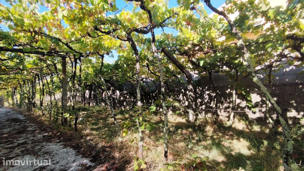 Quinta com Terreno de 2840 m2 e Vistas sobre o Rio Douro - Grande imagem: 4/39
