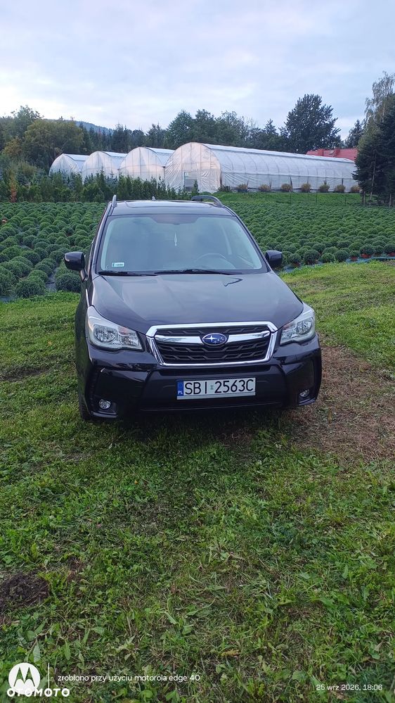 Subaru Forester - 13
