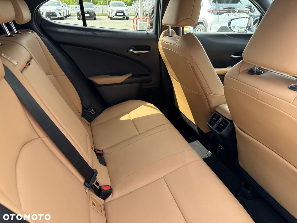 Lexus UX 250h GPF F Sport Design+ 2WD - 10