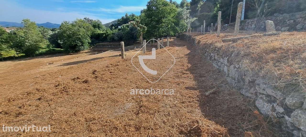 Quinta com casa rustica para recuperar e 10.500m2 de terreno, Parada - - Grande imagem: 3/36