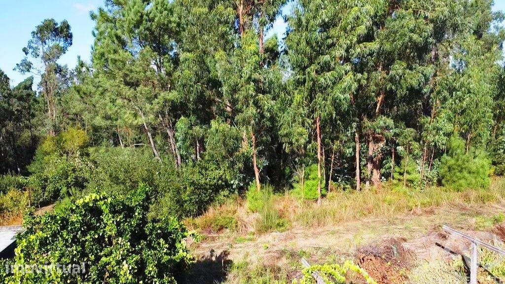 Terreno para construção em Forjães de 2351,00 m2 - Grande imagem: 5/7