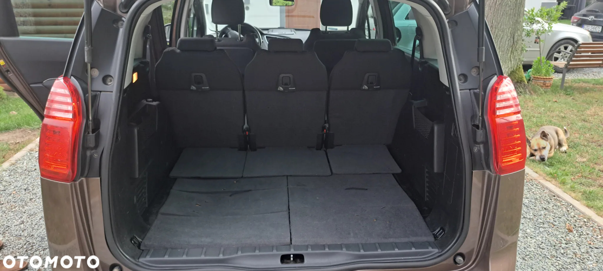 Peugeot 5008 - 19