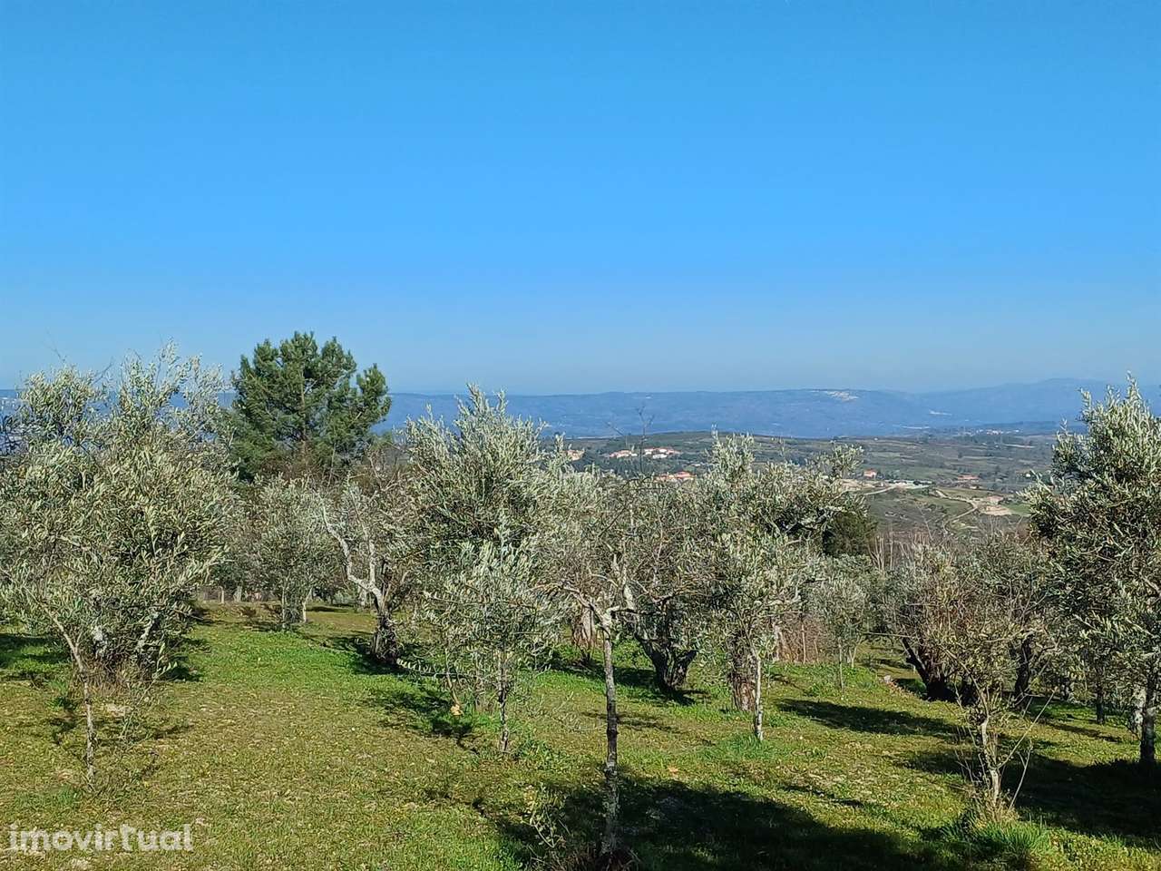 Quintinha T1 Venda em Figueiró da Serra e Freixo da Serra,Gouveia - Grande imagem: 5/9