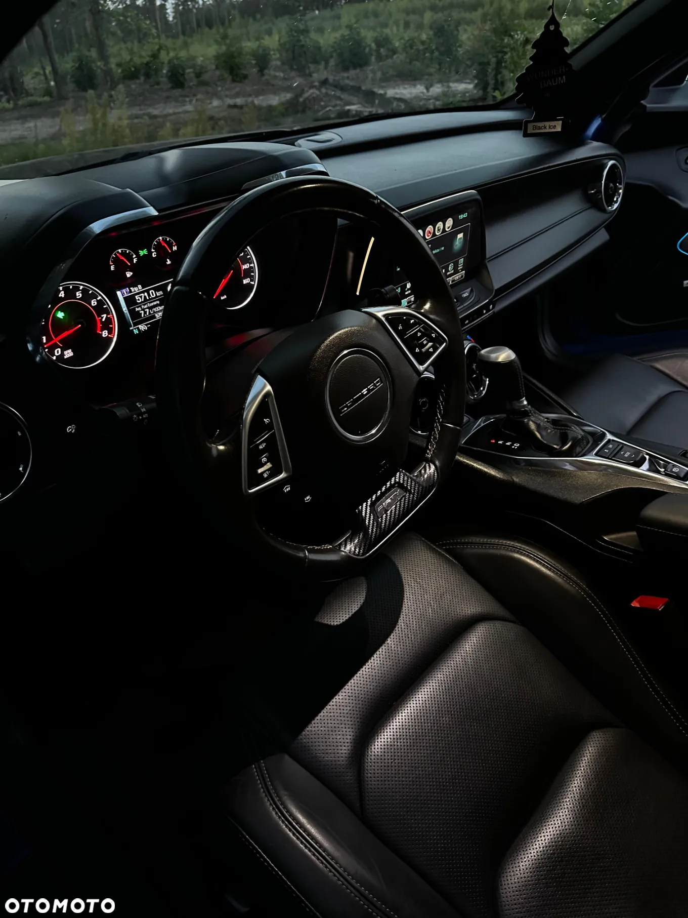 Chevrolet Camaro Coupe 2.0 - 14