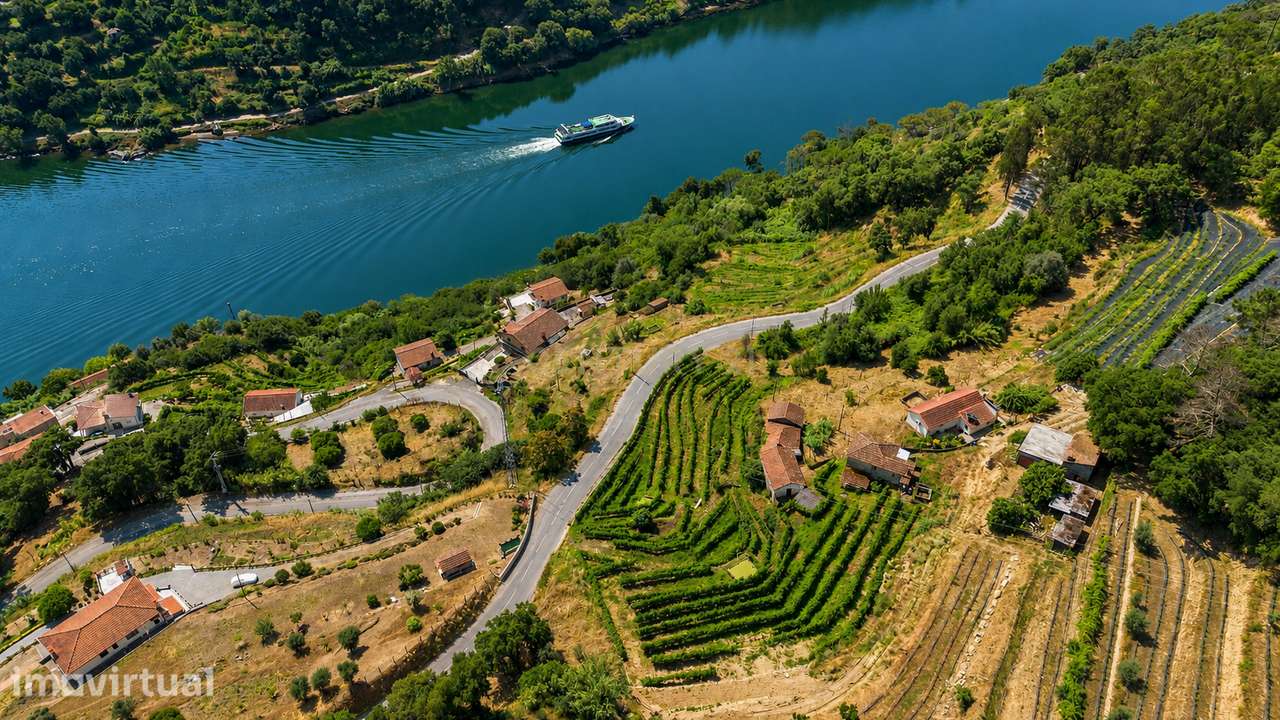 Quintinha com 2 casas em pedra para recuperar + 2 terrenos com vinhas- - Grande imagem: 2/39