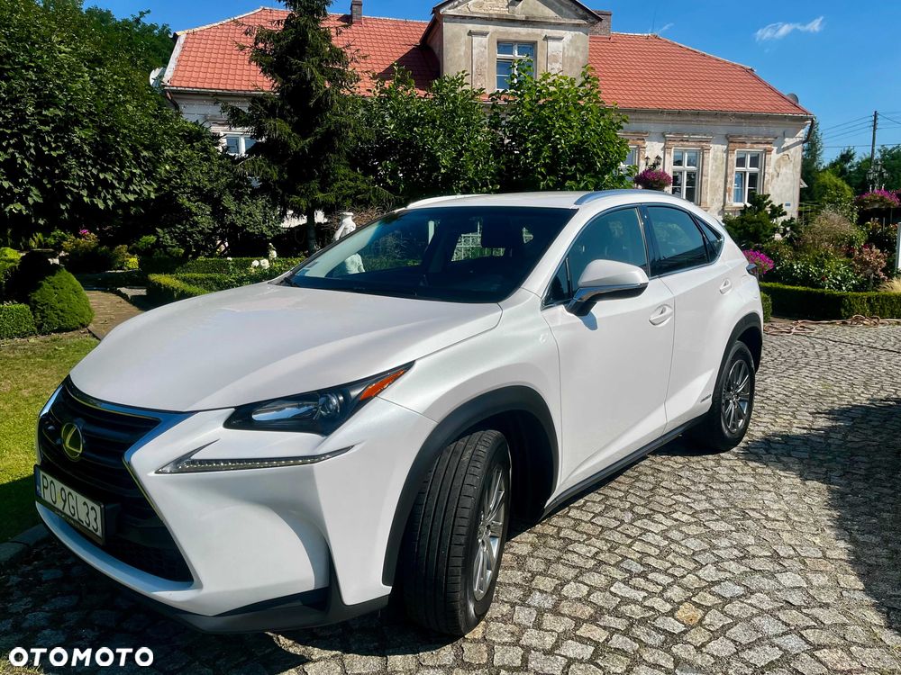 Lexus NX - 1