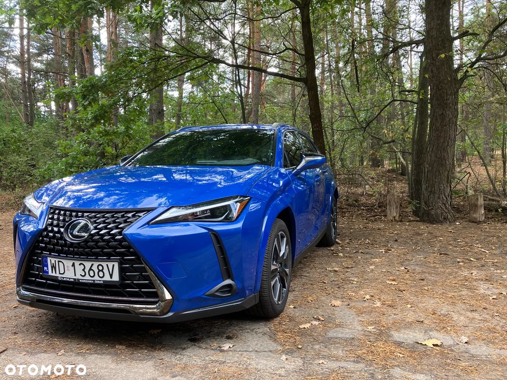 Lexus UX 300h - 3