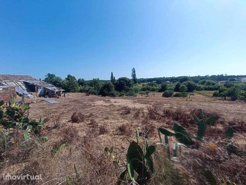 Terreno com 2 casas em Ruína - Grande imagem: 3/6