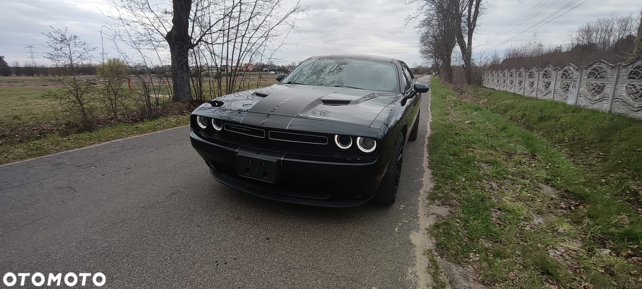 Dodge Challenger 3.6 SXT - 36