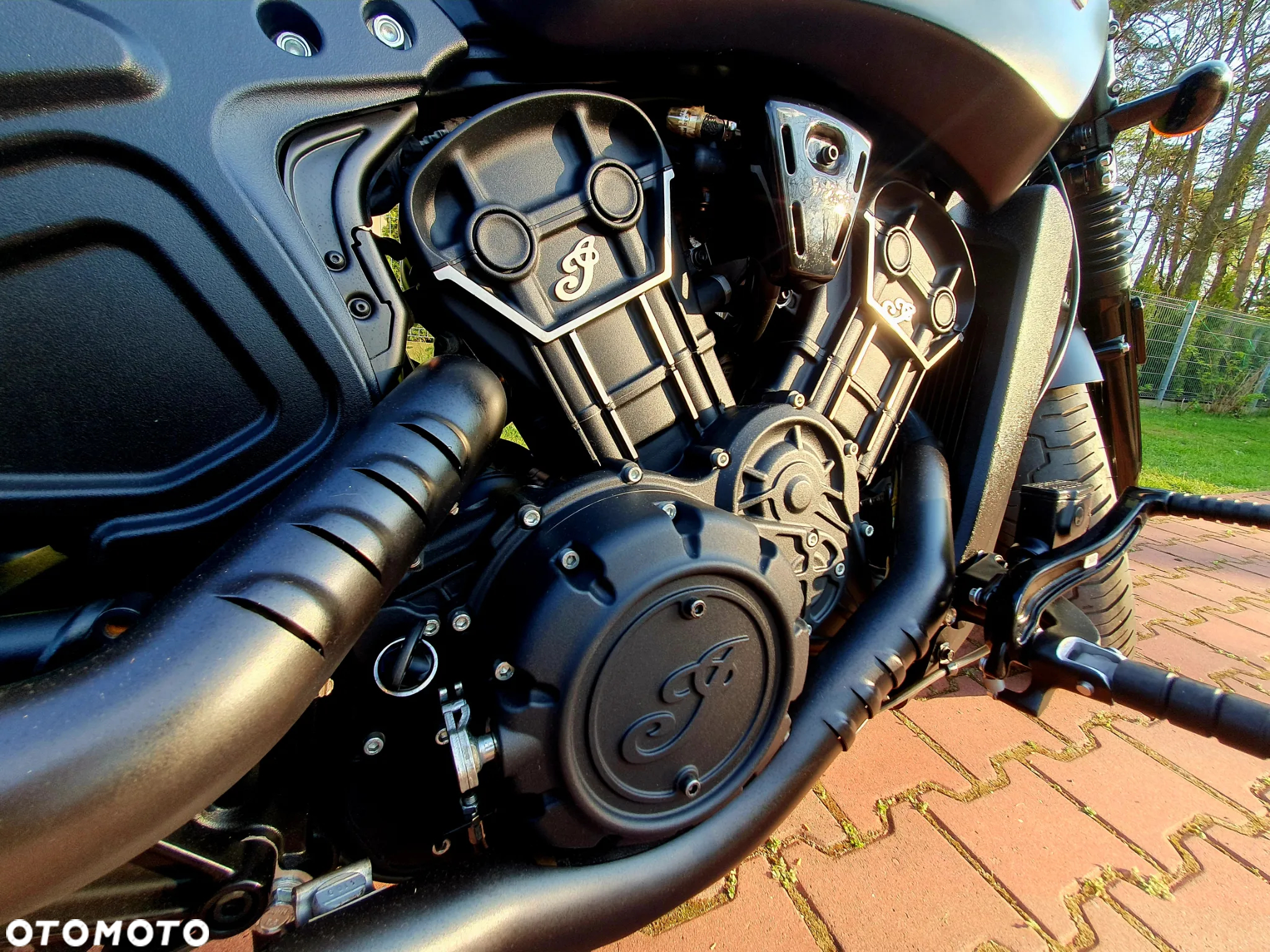 Indian Scout - 10