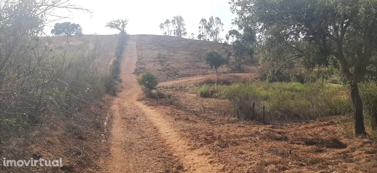 Terreno Rústico com Potencial Agrícola e de Lazer, Ourique, Beja - Grande imagem: 2/11