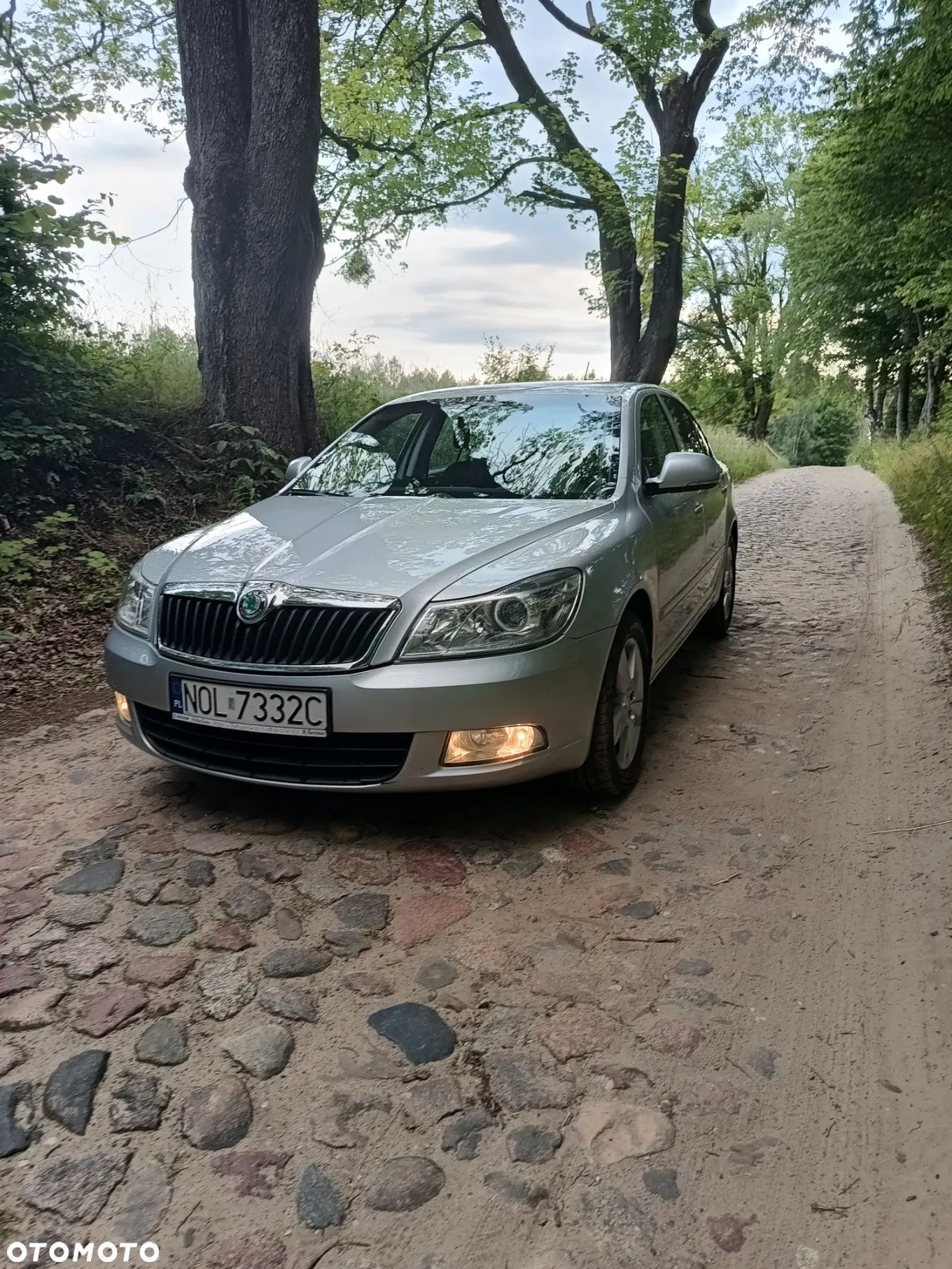 Skoda Octavia - 1