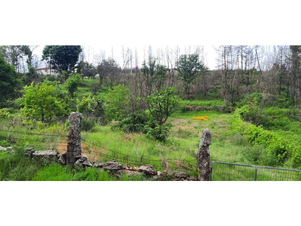 Terreno para venda em Mões - Castro Daire - Grande imagem: 4/24