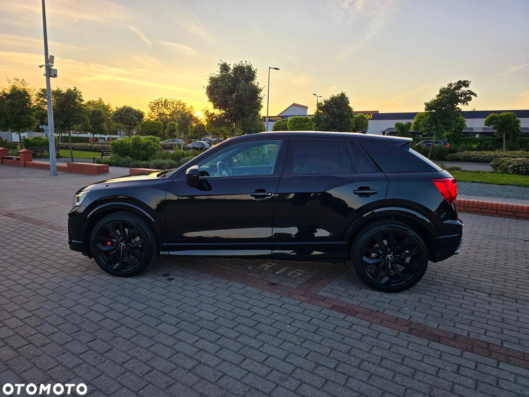 Audi SQ2 - 3