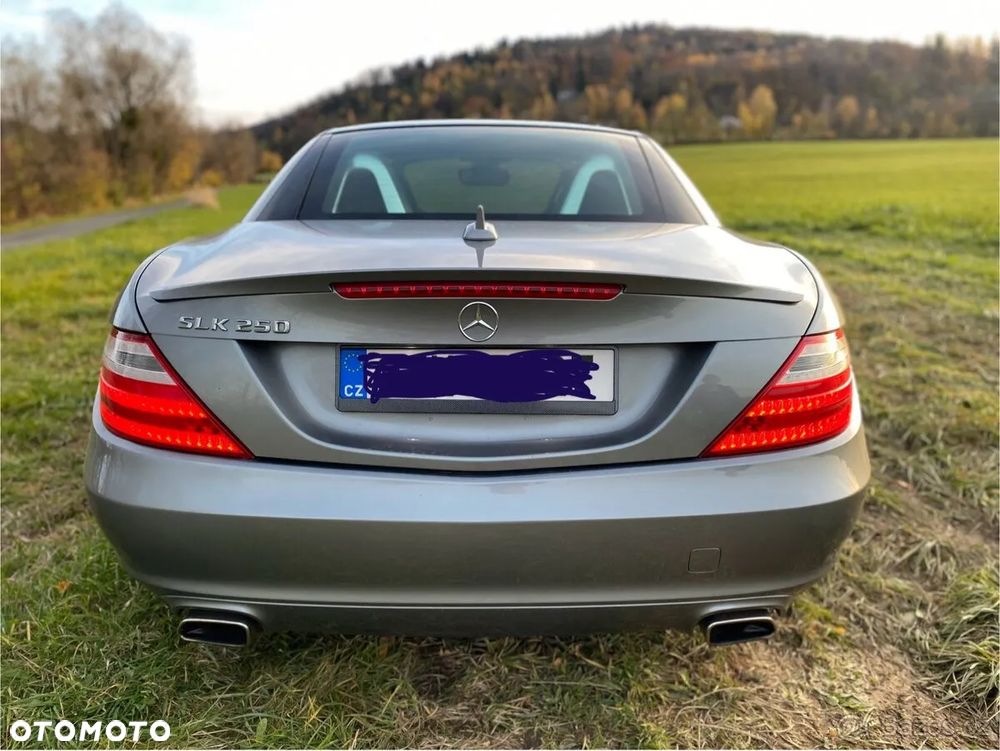Mercedes-Benz SLK 250 (BlueEFFICIENCY) 7G-TRONIC - 6