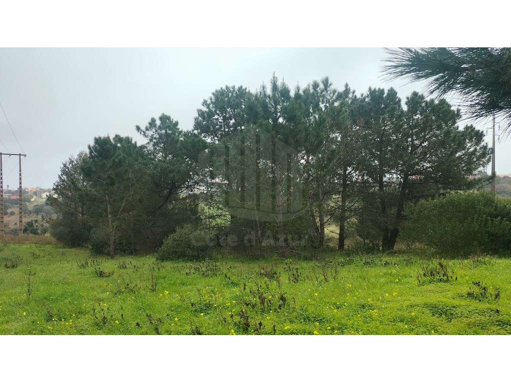 Terreno em Sesimbra, Castelo - Oportunidade de Investimento - Grande imagem: 3/4