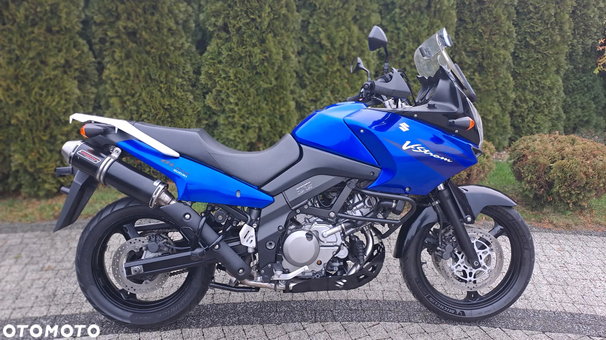 Suzuki DL - 3