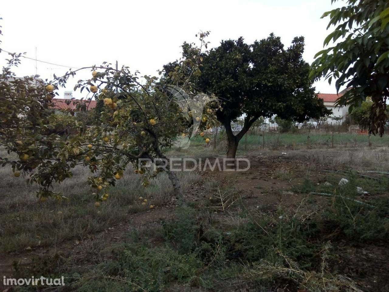 Terreno em Rio de Moínhos - Grande imagem: 3/10