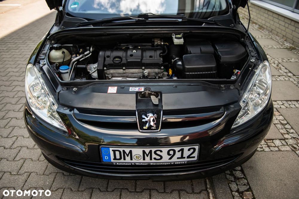 Peugeot 307 110 Grand Filou - 33