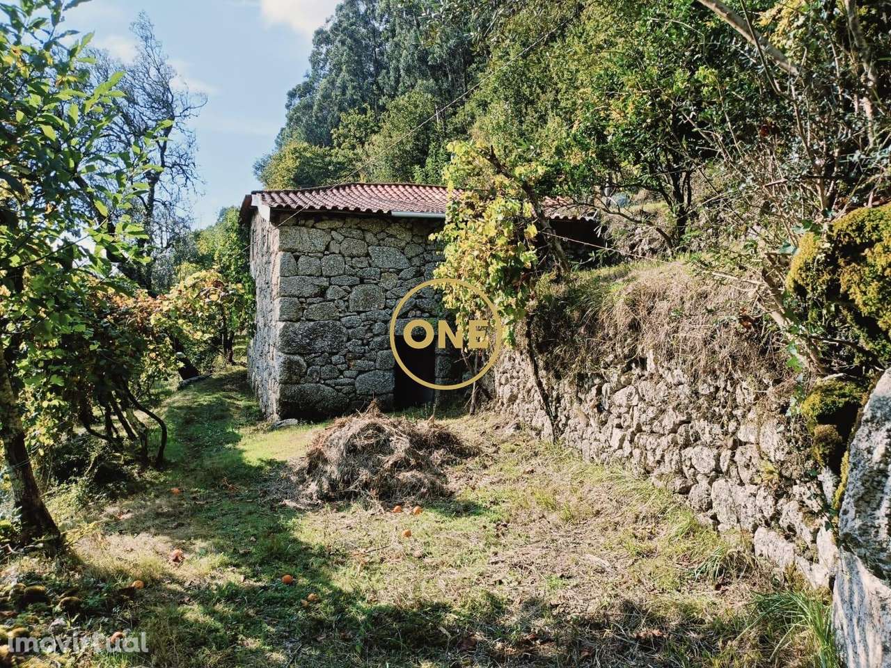 Terreno com Aprox: 10.000m2 - Grande imagem: 3/29