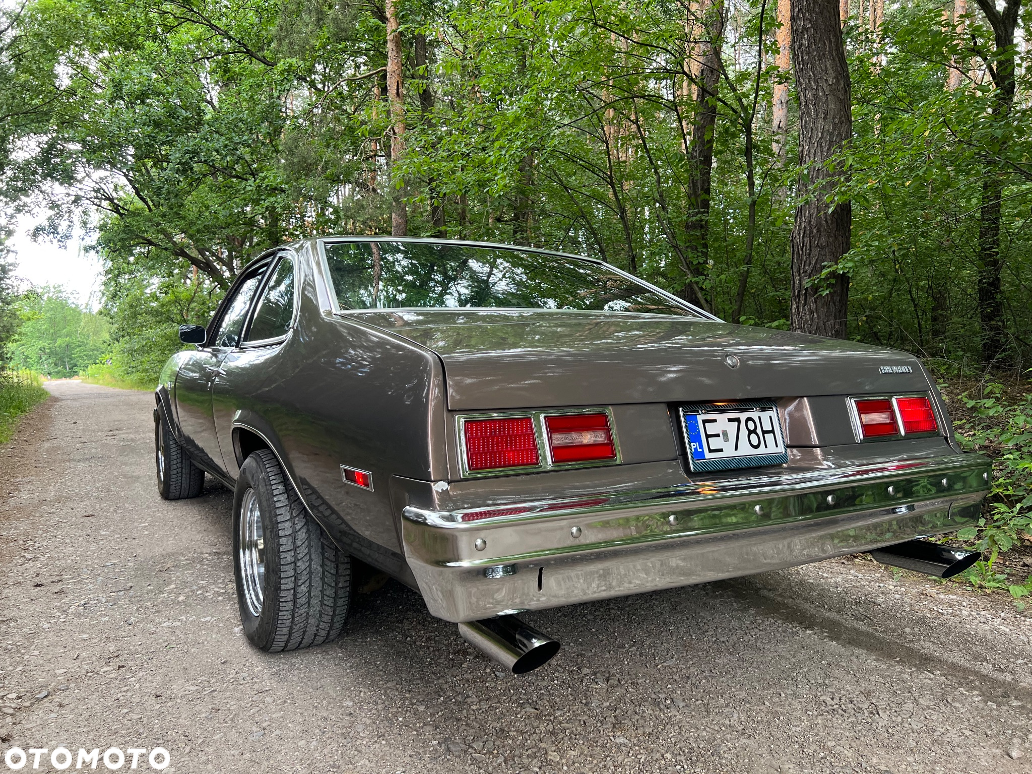 Chevrolet Nova - 6