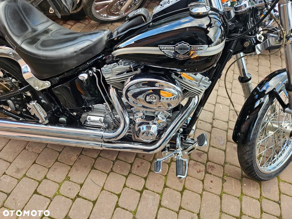 Harley-Davidson Softail - 29