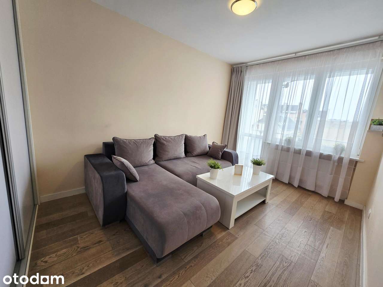 3 pokoje po generalnym remoncie | Centrum Kielc | balkon | parking - Pełny obrazek: 3/19