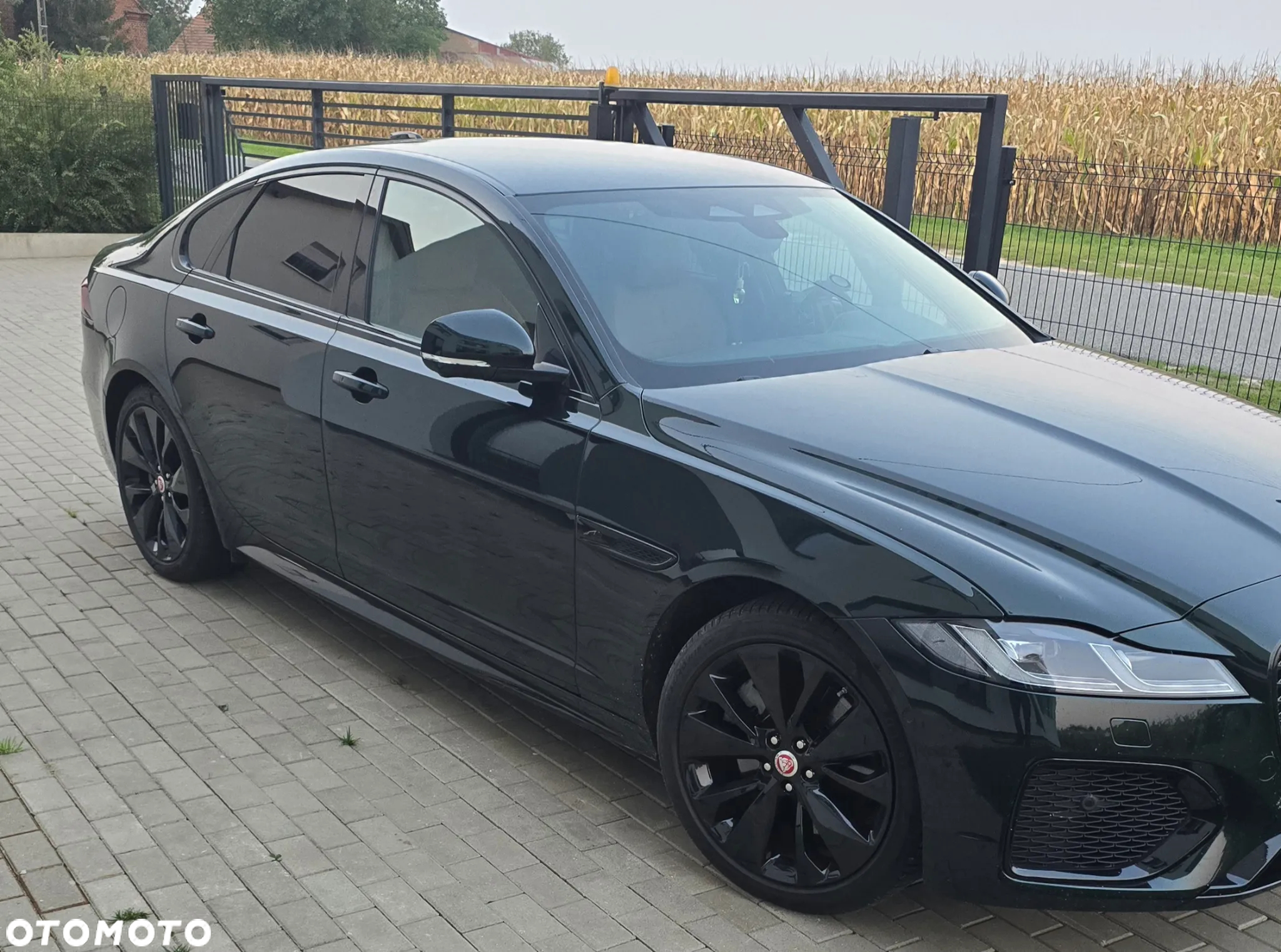 Jaguar XF 2.0 P250 R-Dynamic Black - 5