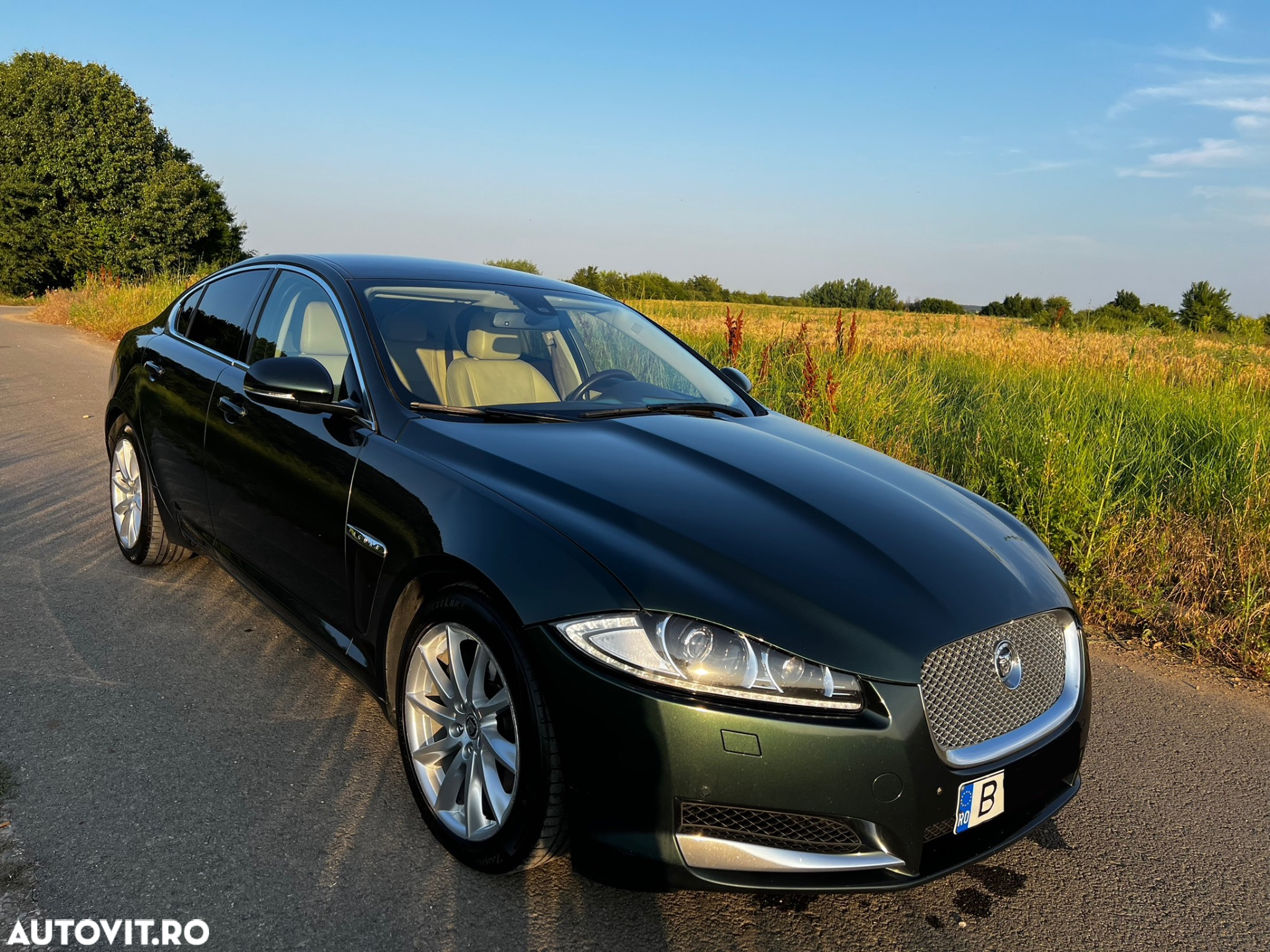 Jaguar XF 2.2D Luxury - 15