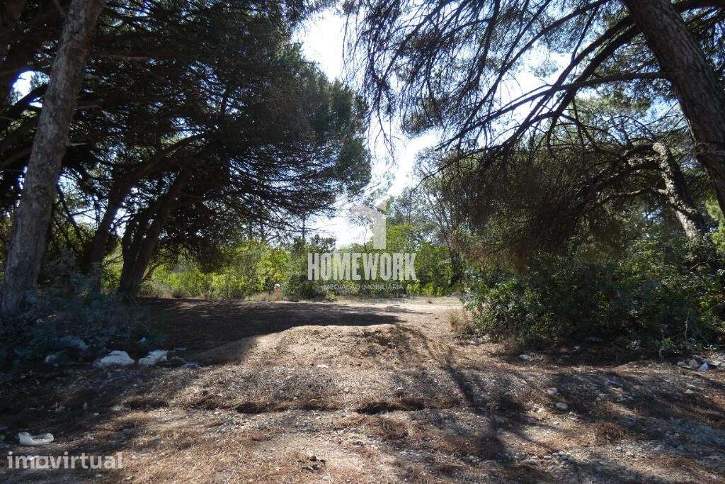 Terreno em fase de urbanização na Costa da Caparica - Grande imagem: 2/11