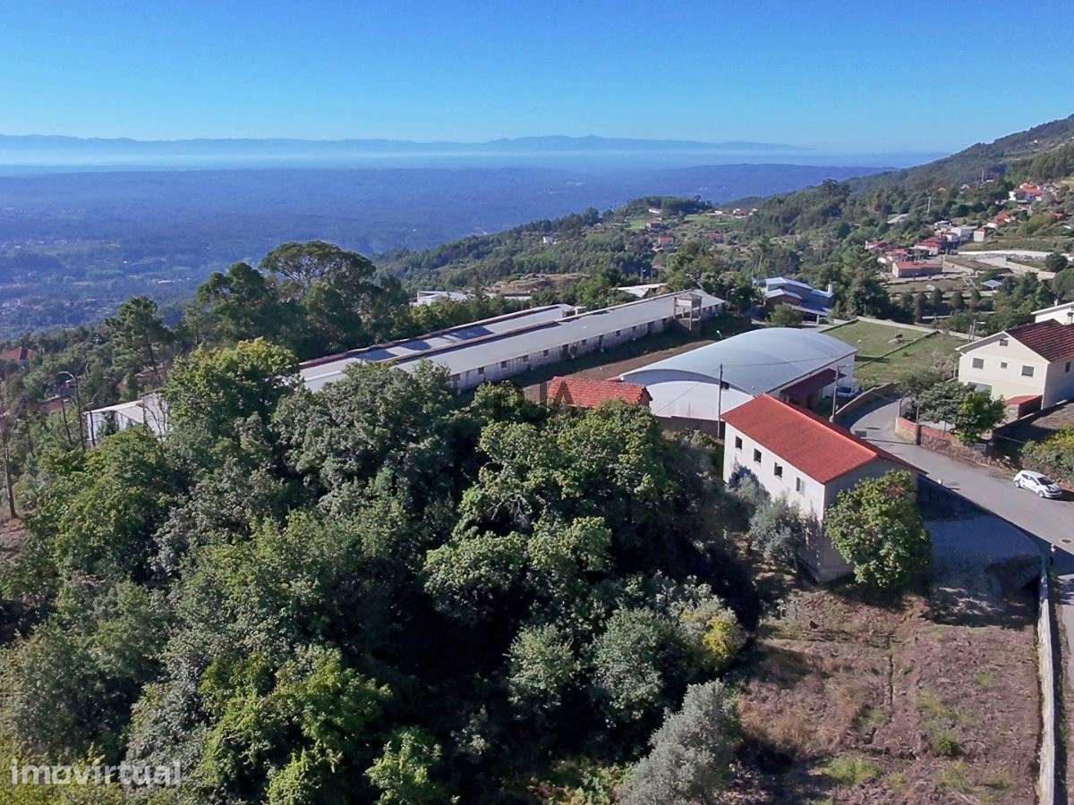 Terreno Agrícola com Casa de Arrumos em Santiago de Besteiros, Tondela - Grande imagem: 4/11
