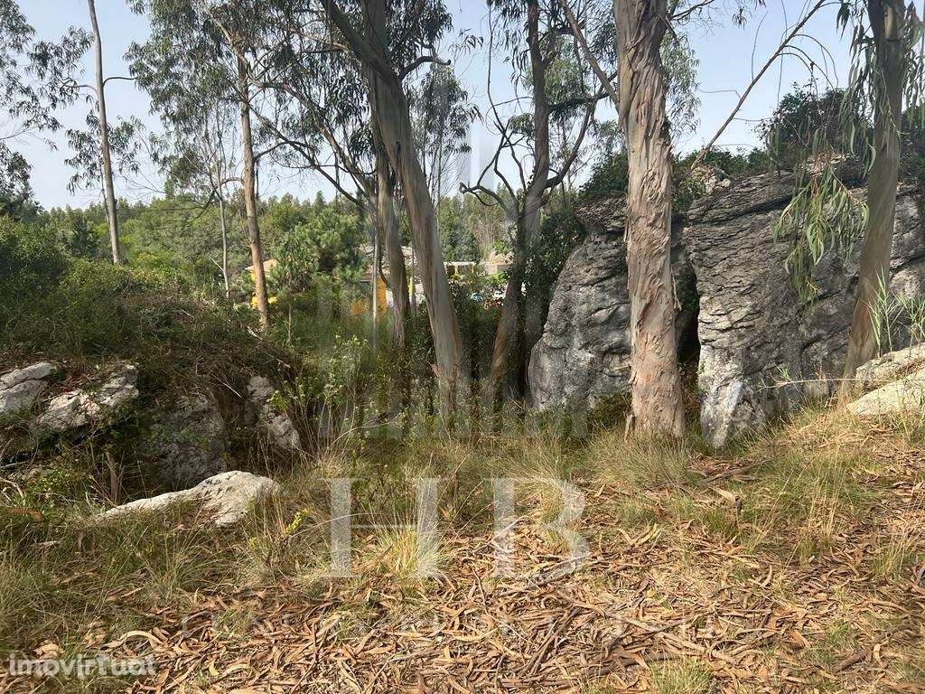 Terreno | Reguengo Grande | Lourinhã - Grande imagem: 5/17