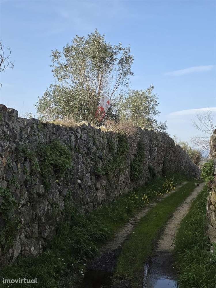 Terreno - Grande imagem: 4/7