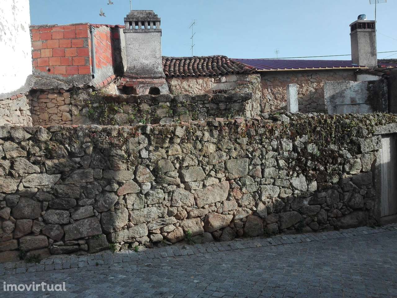 Moradia em Pedra | Escalos de Baixo, Castelo Branco - Grande imagem: 5/5