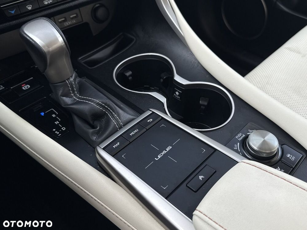 Lexus RX 450h F-Impression - 17