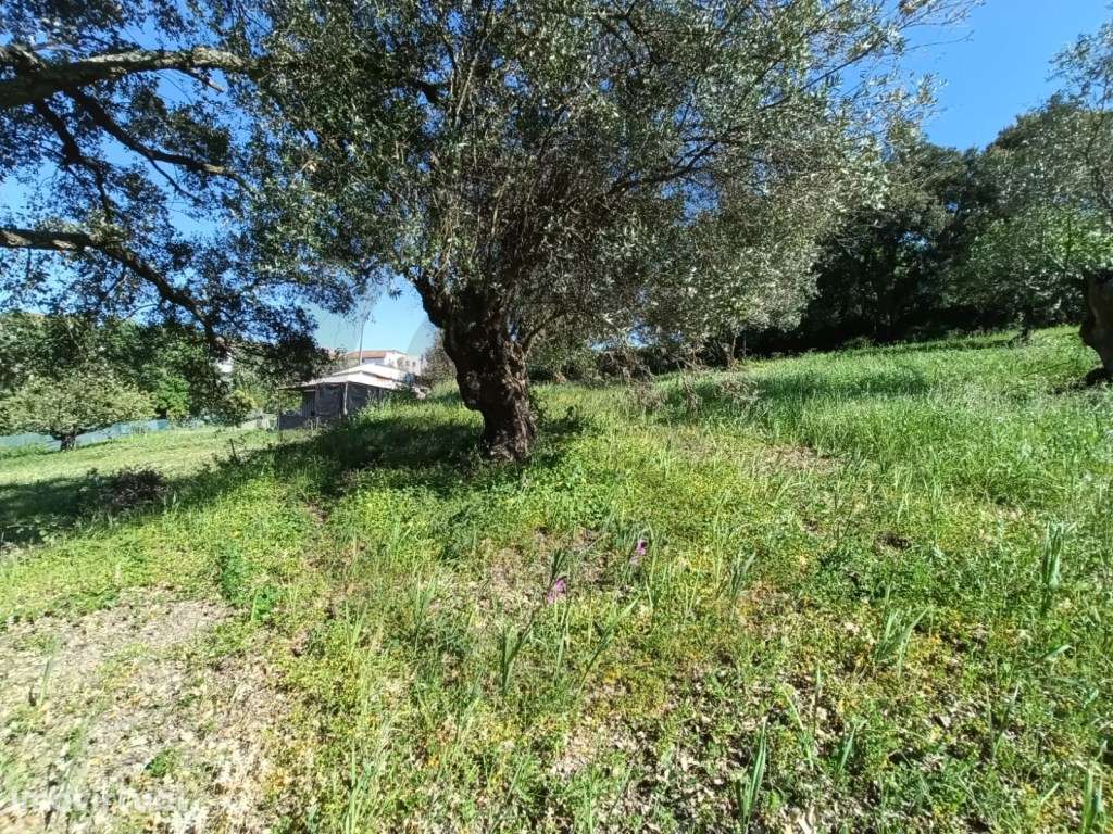 Terreno P/Construção - Grande imagem: 3/10