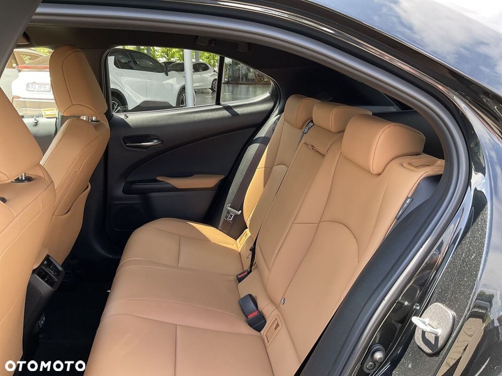 Lexus UX 300h F Sport Design - 14