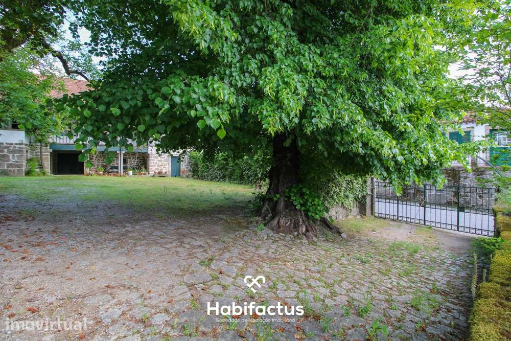 Quinta centenária, situada em Cabanas de Viriato - Viseu - Grande imagem: 4/60
