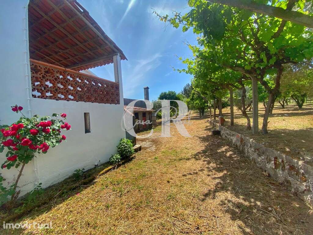 Casa típica portuguesa em pedra com excelente área de terreno em Figue - Grande imagem: 5/43