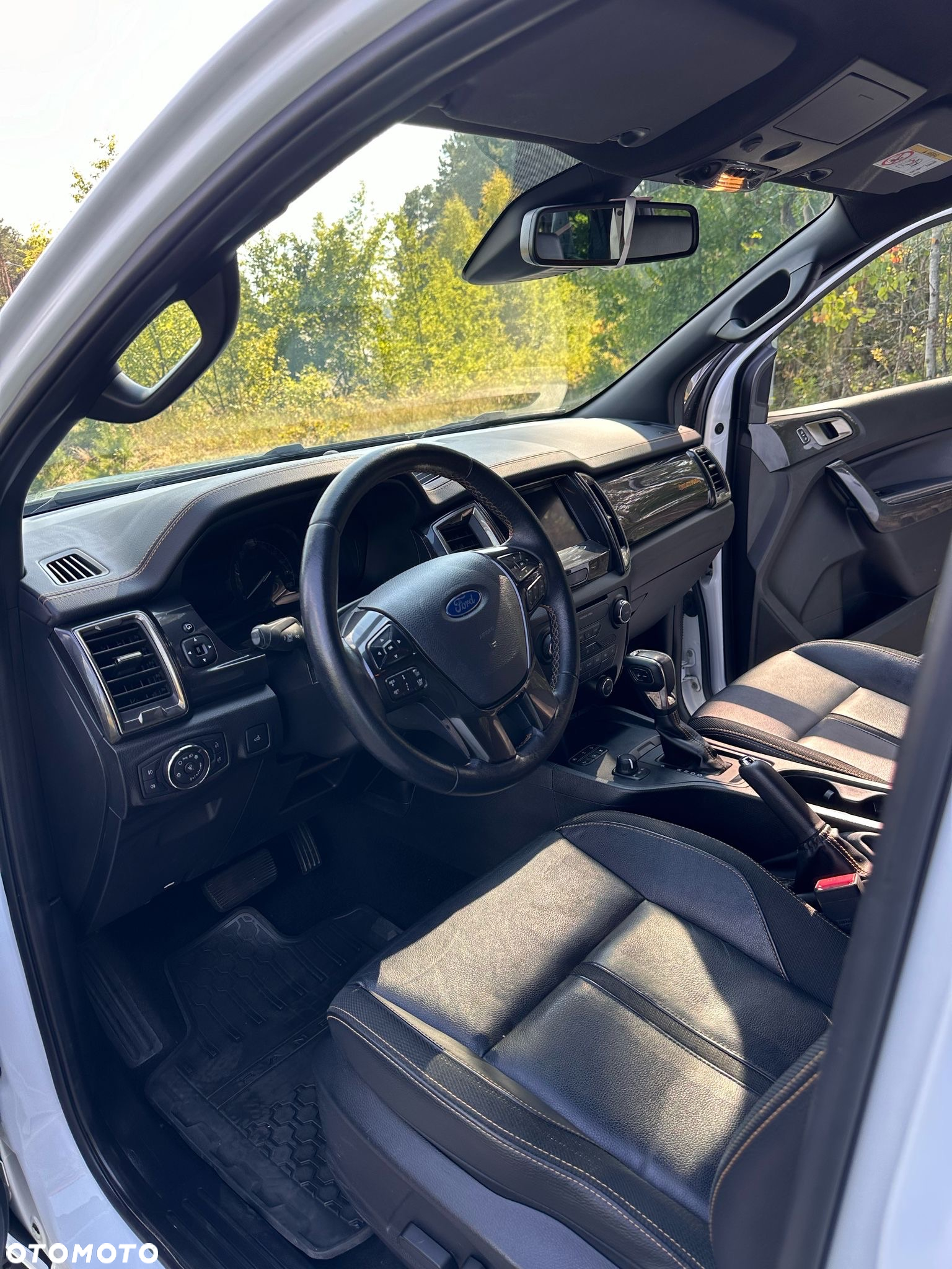 Ford Ranger 2.0 EcoBlue 4x4 DC Wildtrak - 2