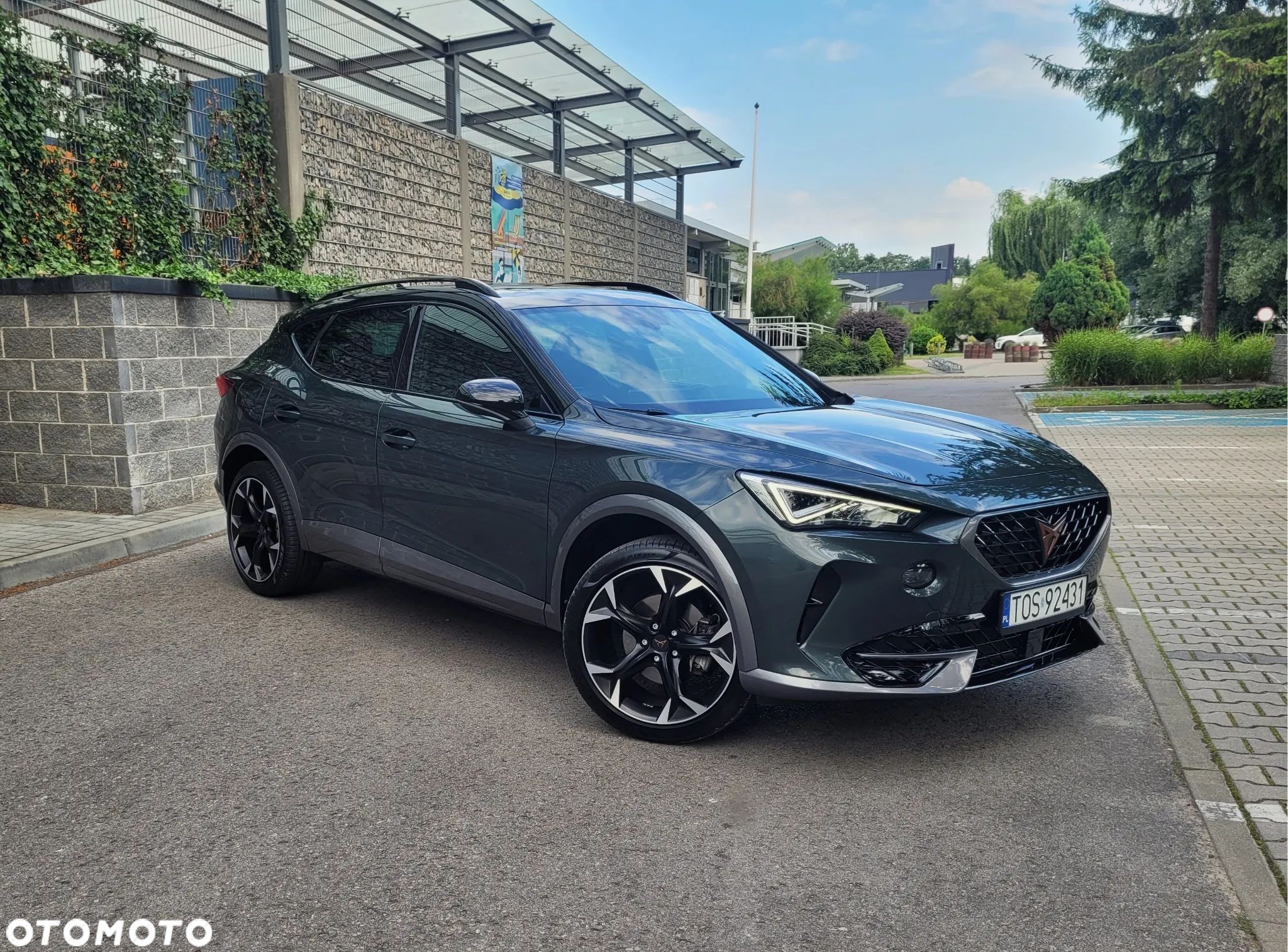 Cupra Formentor 1.5 TSI DSG Tribe Edition - 1