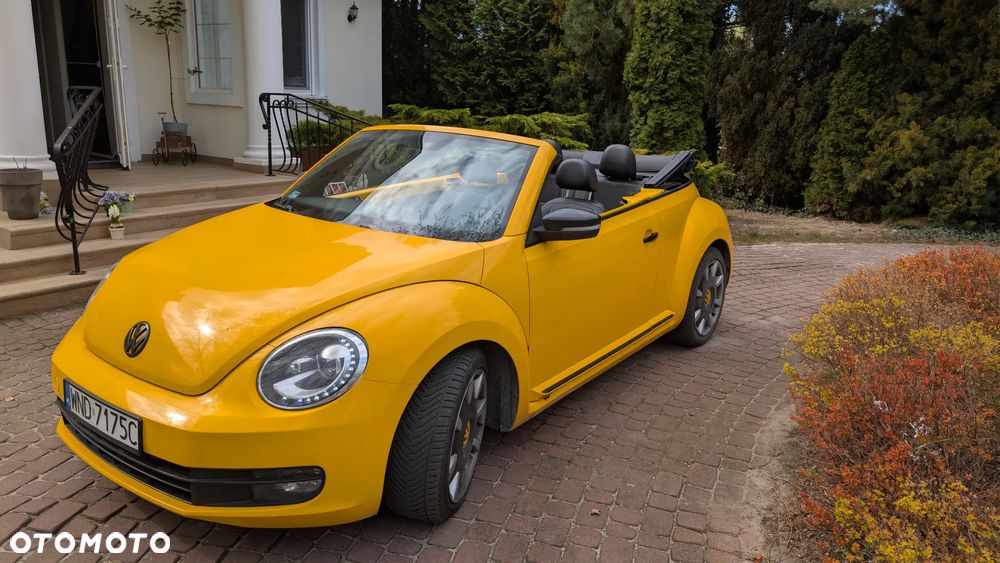 Volkswagen Beetle - 3