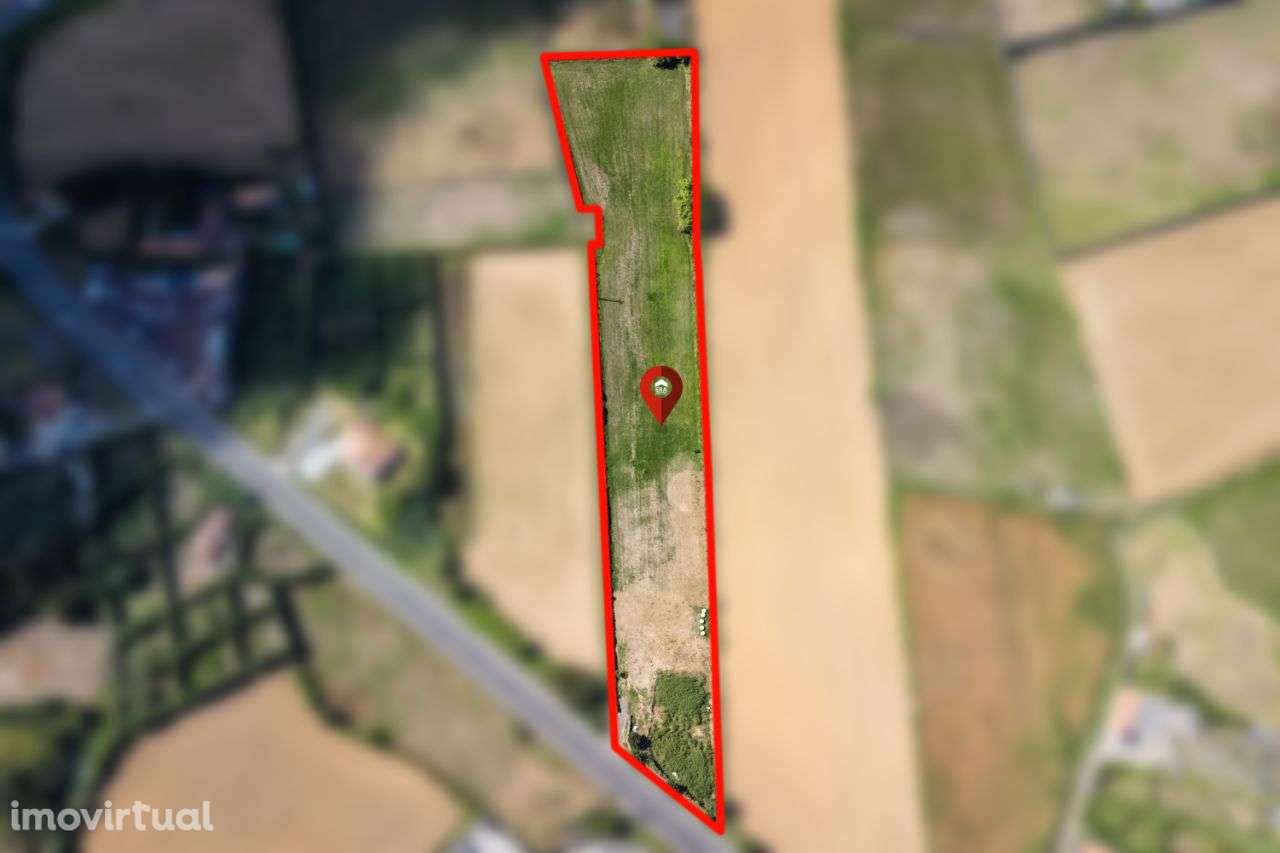 Terreno Rústico RIbeira Grande - Grande imagem: 3/4