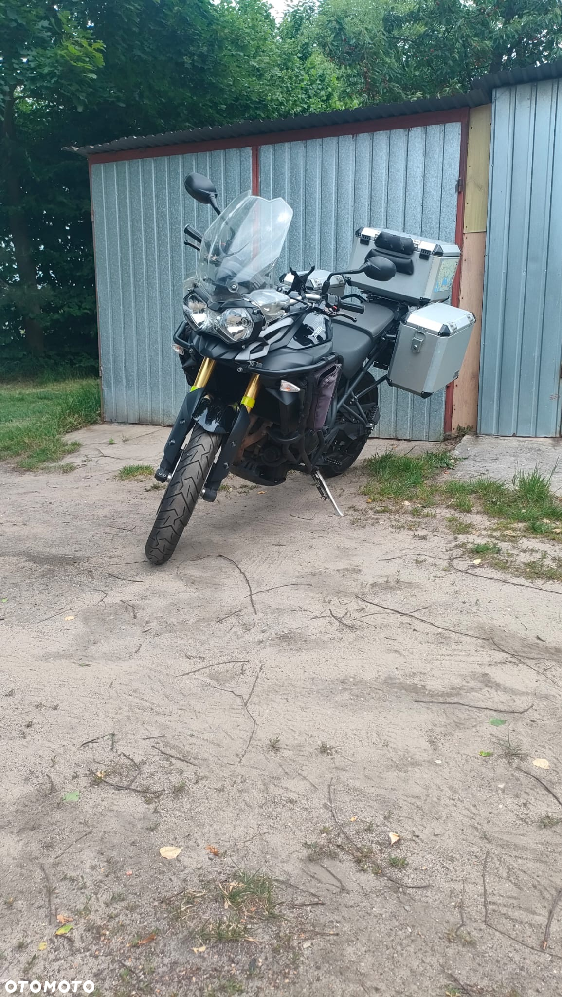 Triumph Tiger - 2
