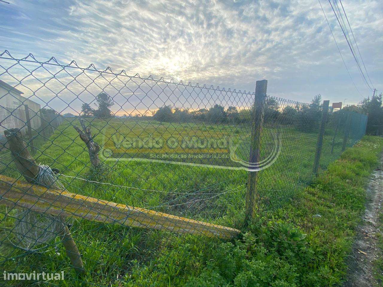Terreno em Foros de Salvaterra (F831) - Grande imagem: 3/7