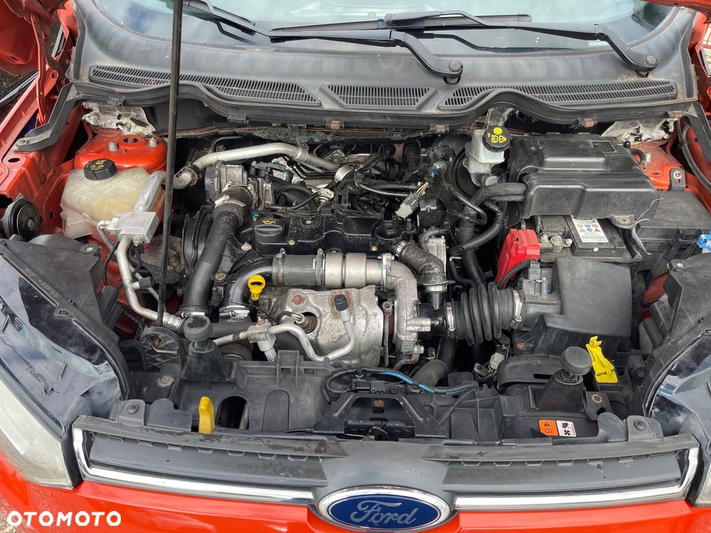 Ford EcoSport 1.5 EcoBlue Titanium ASS - 17